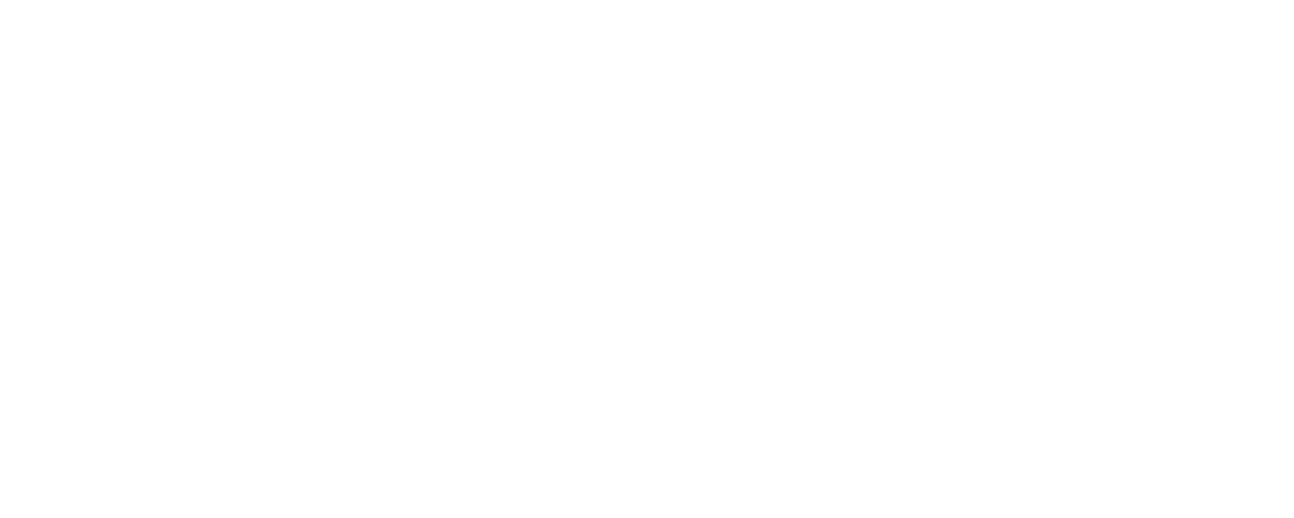 netflea.nl